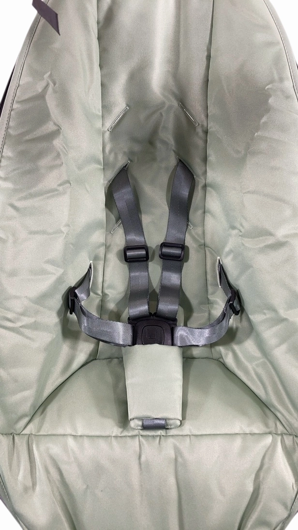 4moms MamaRoo Multi-Motion Baby Swing, Sage Limited Edition