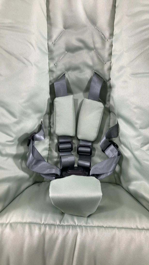 4moms MamaRoo Multi-Motion Baby Swing, Sage Limited Edition