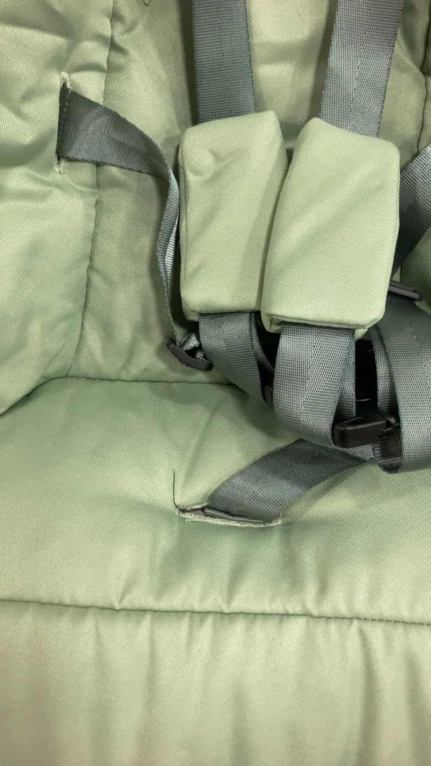 4moms MamaRoo Multi-Motion Baby Swing, Sage Limited Edition