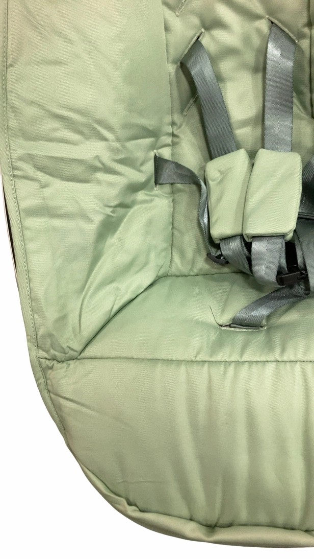 4moms MamaRoo Multi-Motion Baby Swing, Sage Limited Edition