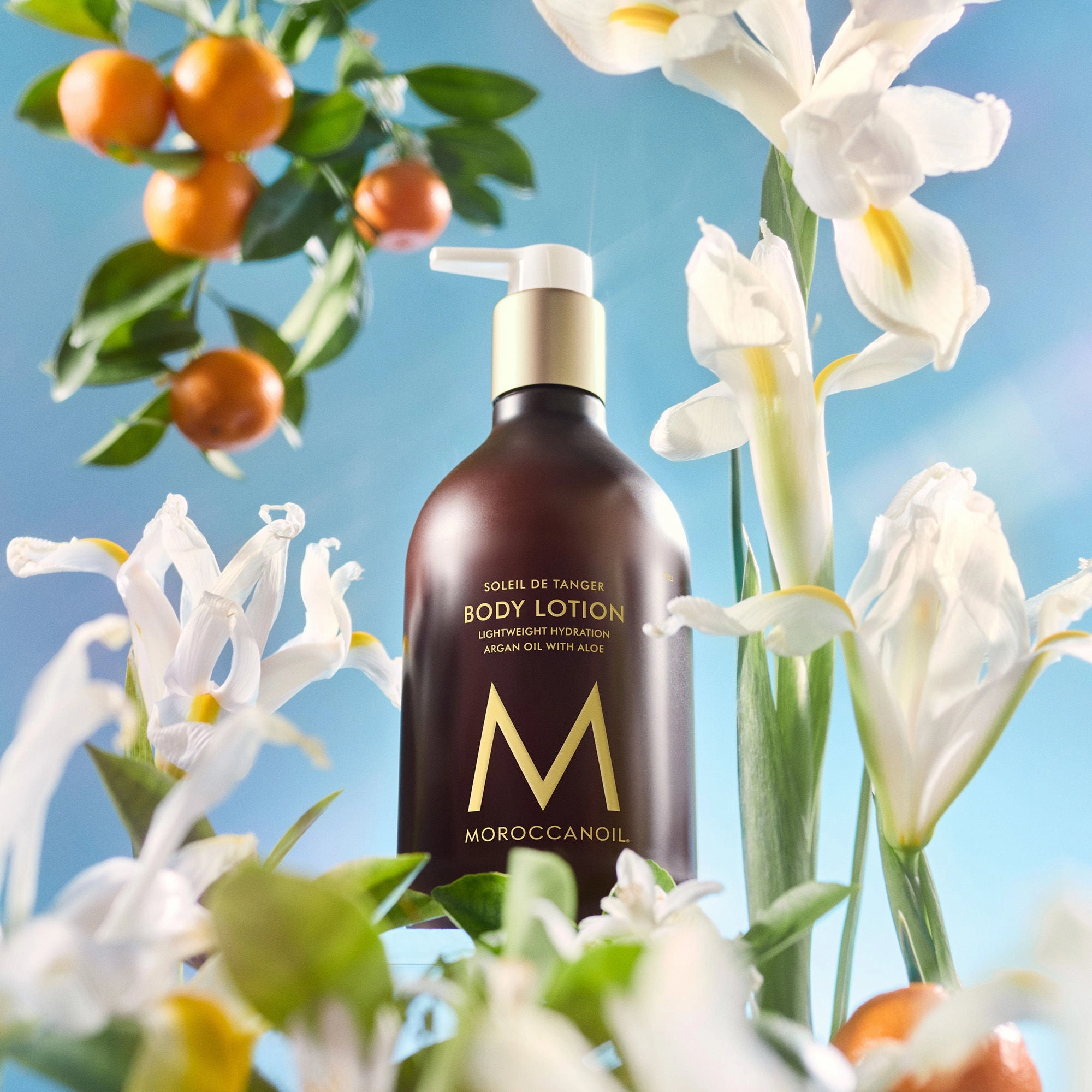 Body Lotion Soleil de Tanger