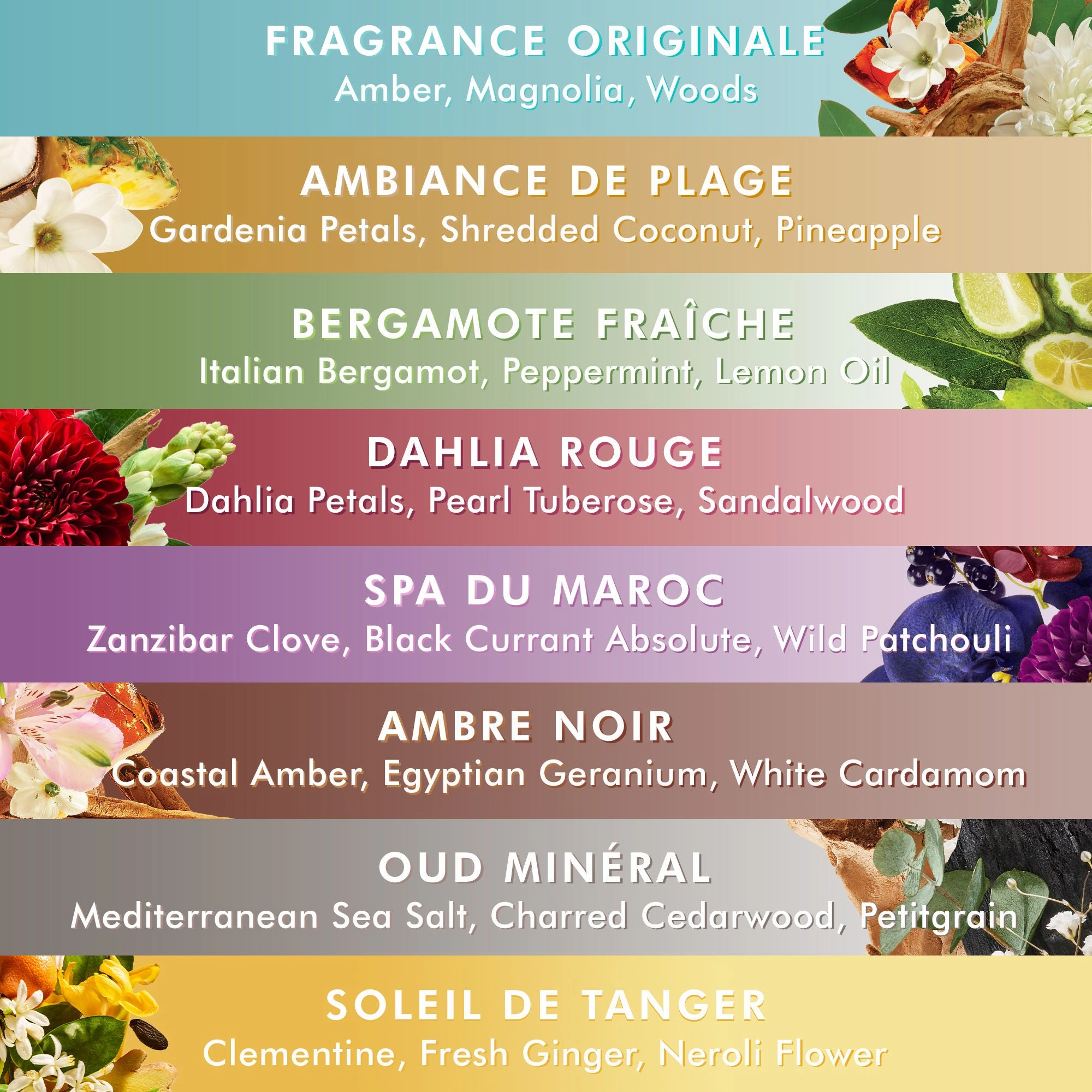 Body Lotion Soleil de Tanger