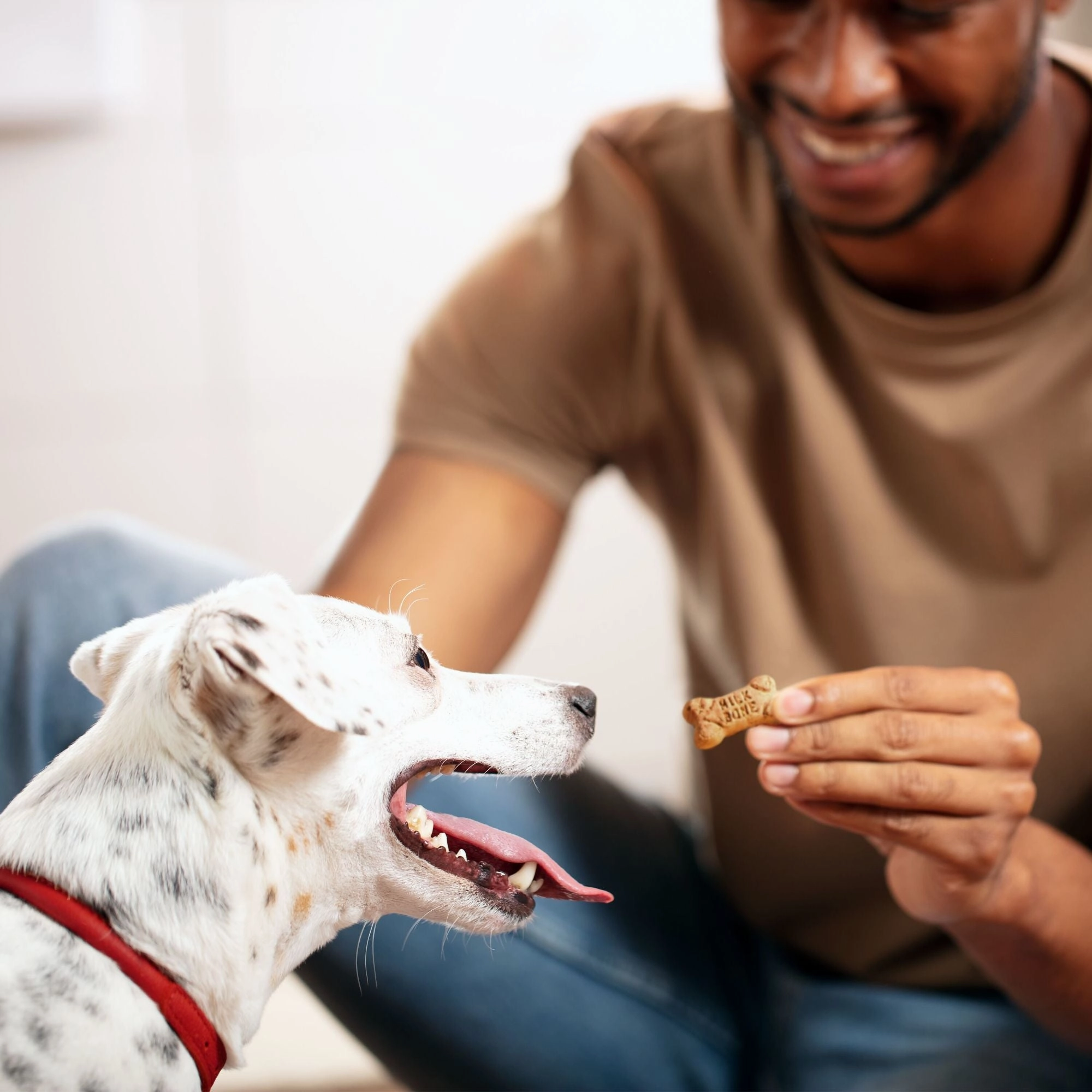 Milk-Bone Flavor Snacks Mini Dog Biscuits, Flavored Crunchy Dog Treats, 36 Oz.