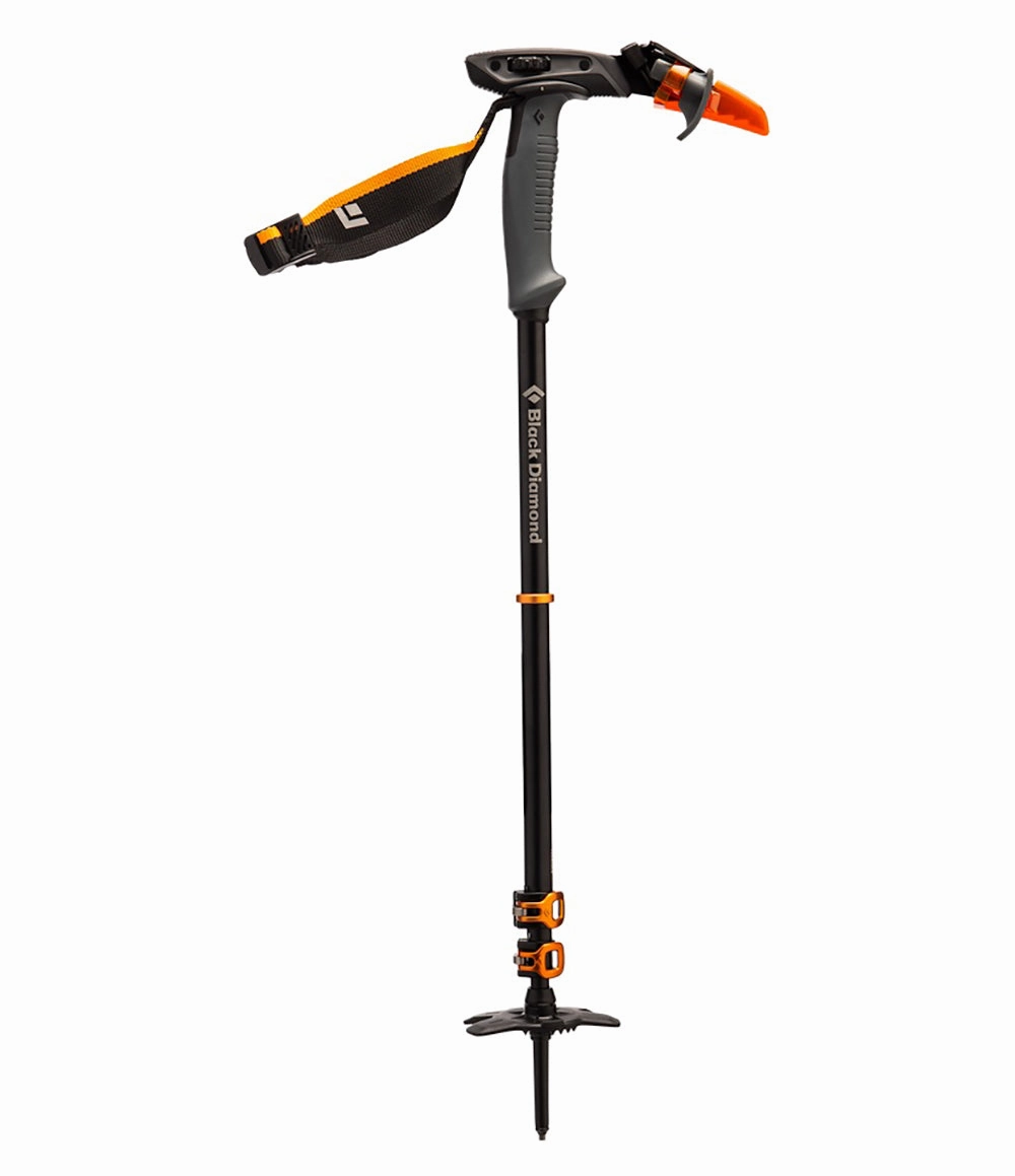Whippet Pole