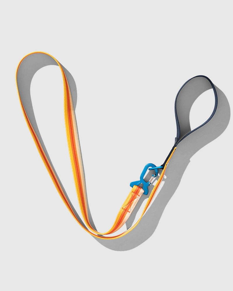 Woven Dog Leash