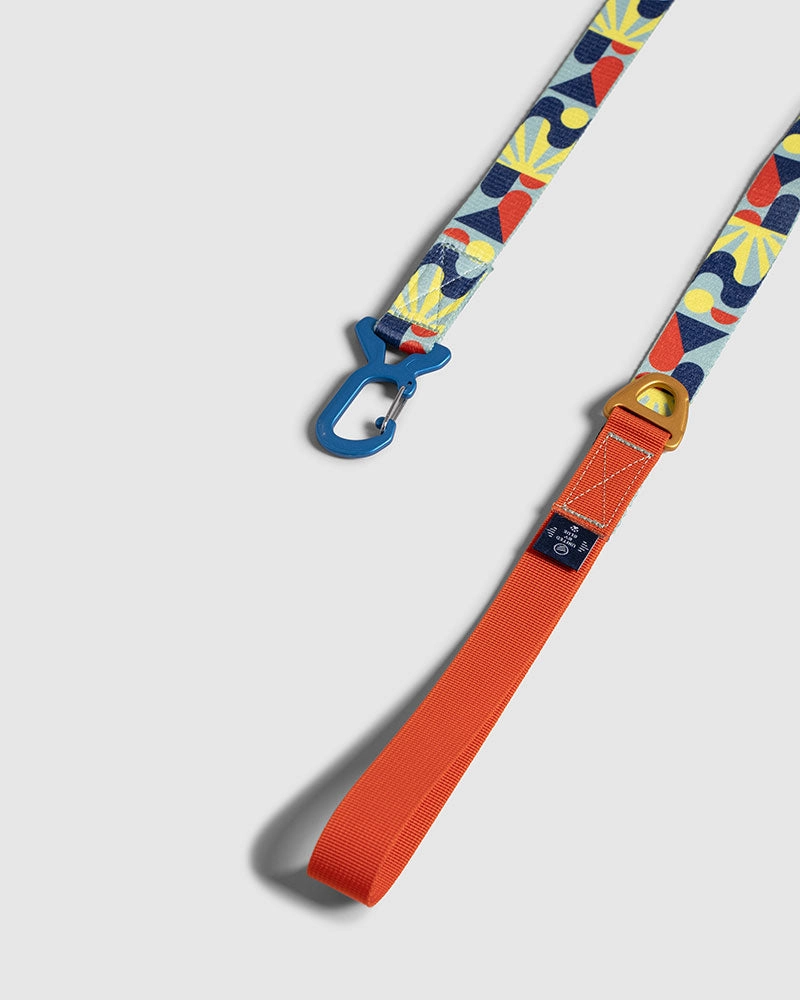 Woven Dog Leash