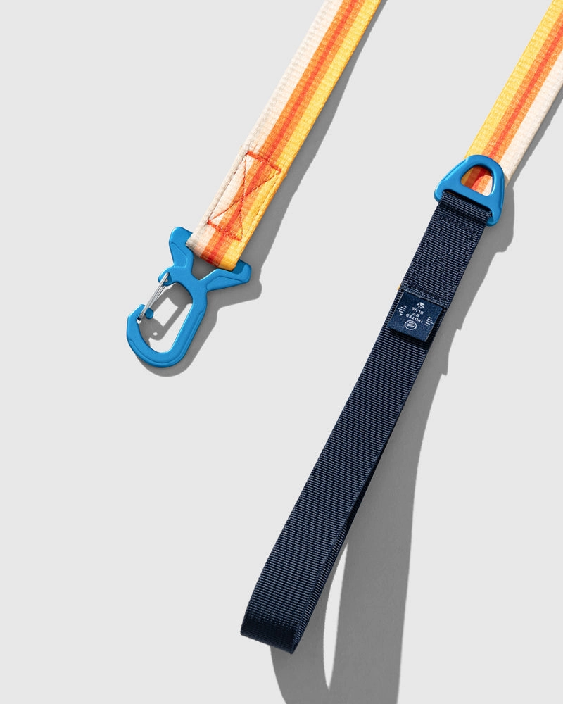 Woven Dog Leash