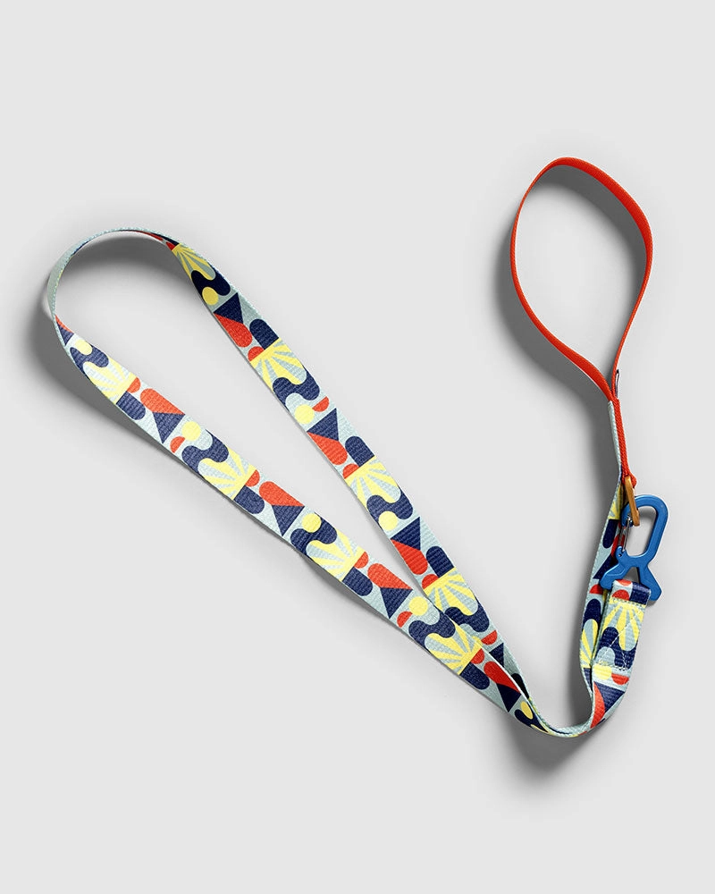 Woven Dog Leash